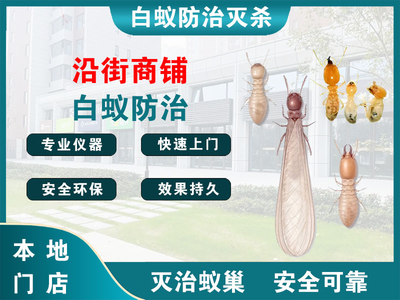 永康市沿街商铺白蚁防治