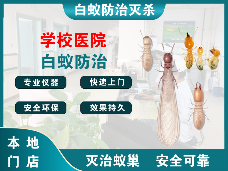永康市学校医院白蚁防治