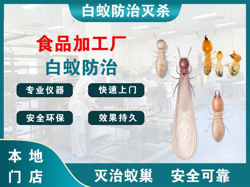 永康市食品加工厂白蚁防治
