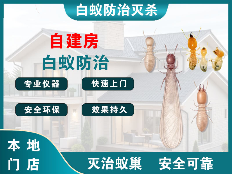 永康市自建房白蚁防治