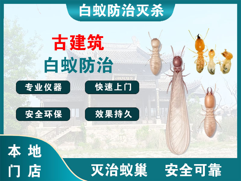 永康市古建筑白蚁防治