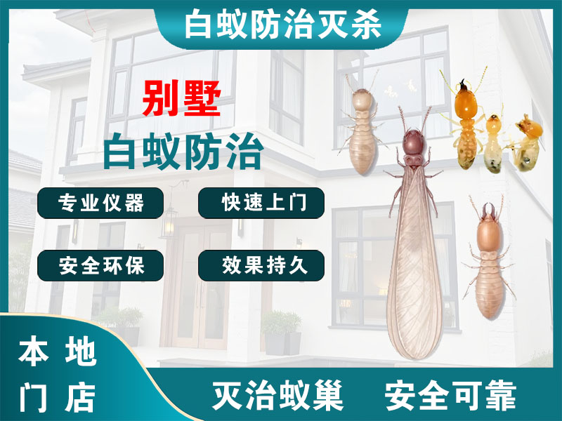 永康市别墅白蚁防治